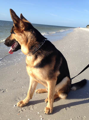 Sanibel real estate