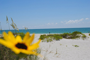 sanibel real estate